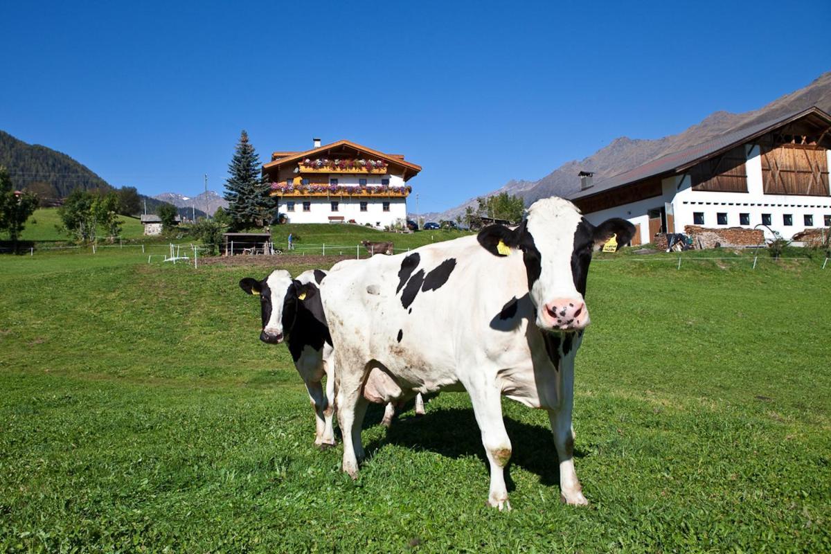 Schneiderhof, Chalet, Urlaub Auf Dem Bauernhof Ridanna Exterior foto
