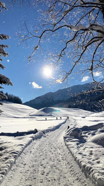 Schneiderhof, Chalet, Urlaub Auf Dem Bauernhof Ridanna Exterior foto